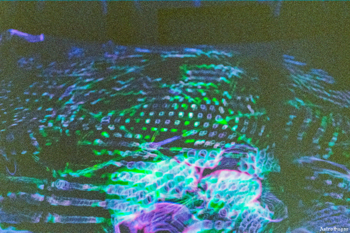Crunchy Neon
