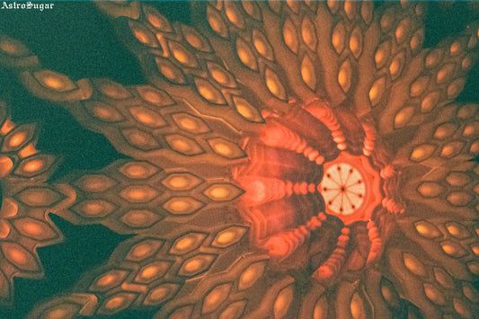 Sand Portal