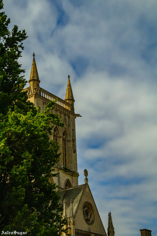 Cathedral and Tree
